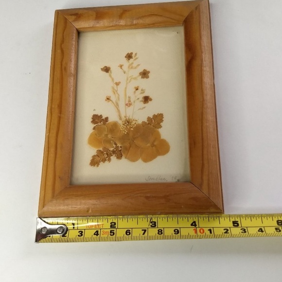 Pressed Flower Framed Wall Art 1998 Artist
Signed Floral Decor - Picture 9 of 12